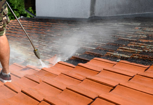Best Deck Cleaning Services  in Owensboro, KY
